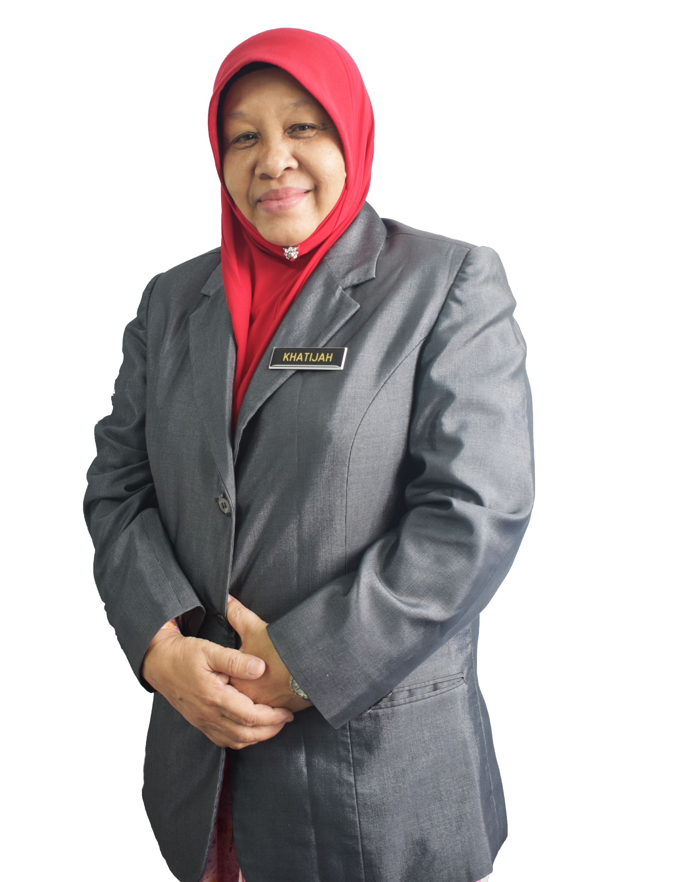 Pengarah IPDAS
